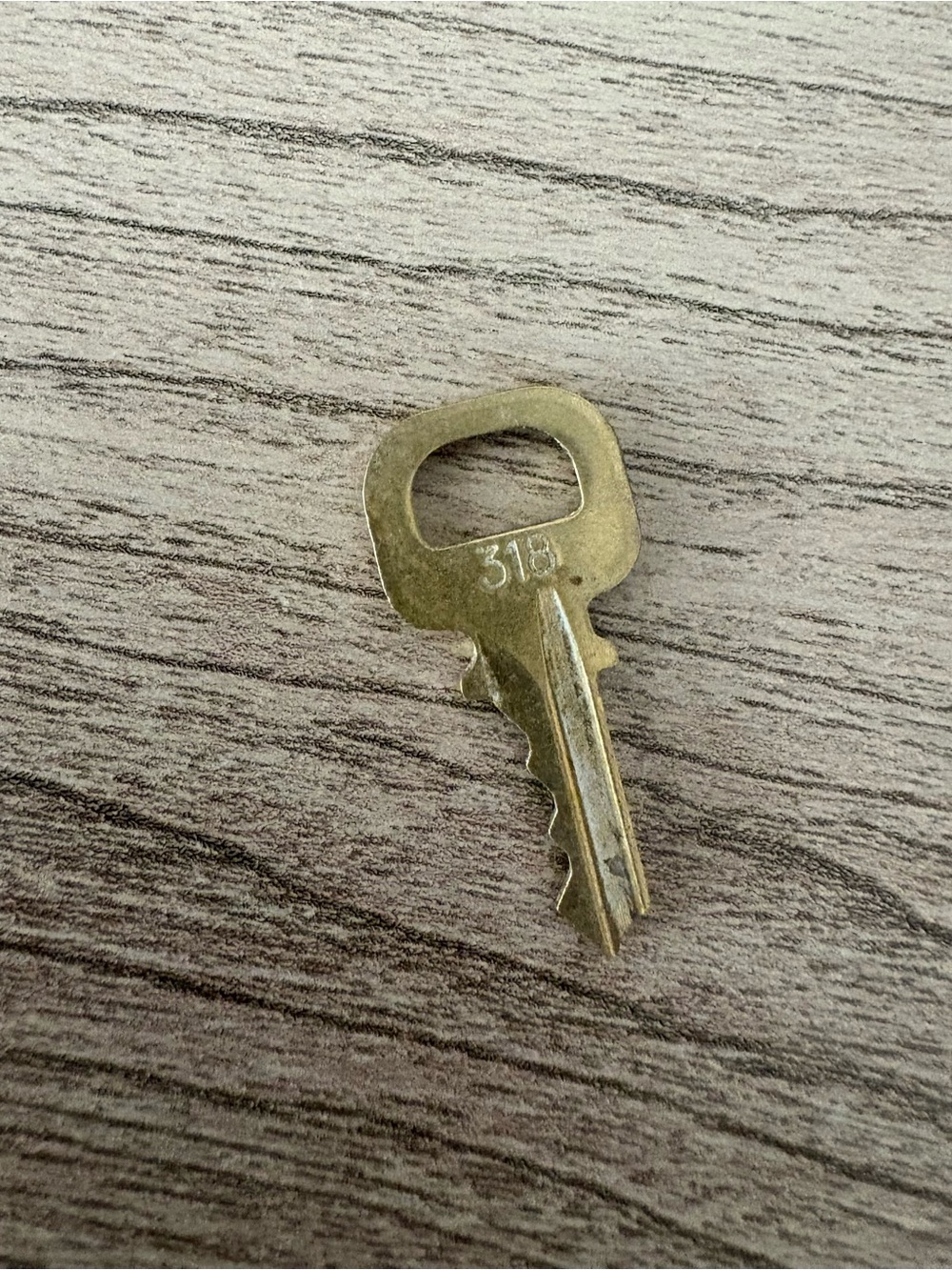 Louis Vuitton Brass Key #318 replacement